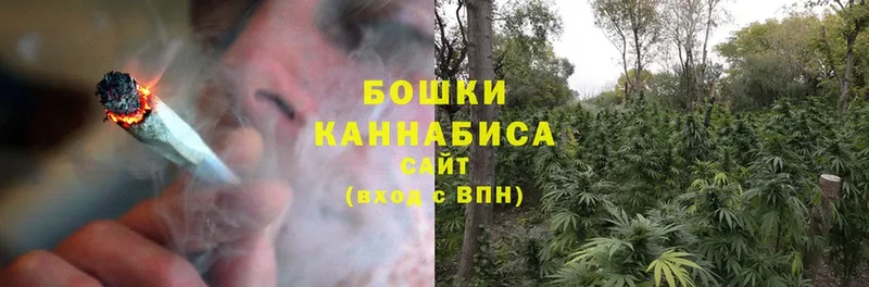 Каннабис SATIVA & INDICA  даркнет сайт  Анадырь 